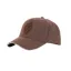 Kentucky 3D Logo Cap-Brown-One Size