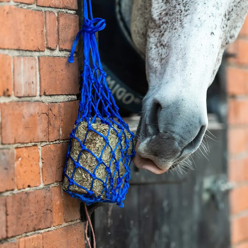 Equilibrium Munch Net-Blue-1