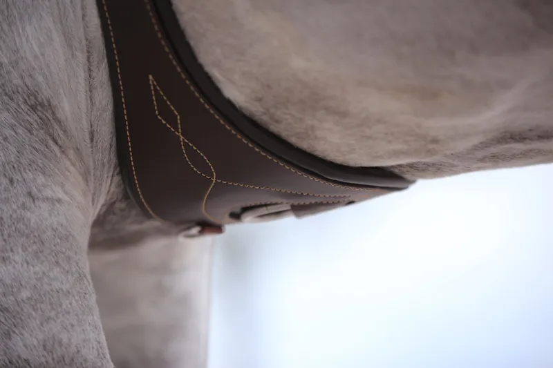 Kentucky Leather Anatomic Girth-Brown-4