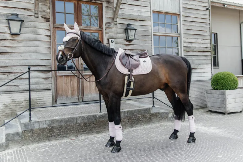 Kentucky Wellington Velvet Pearls Fly Veil-Beige-Full-4