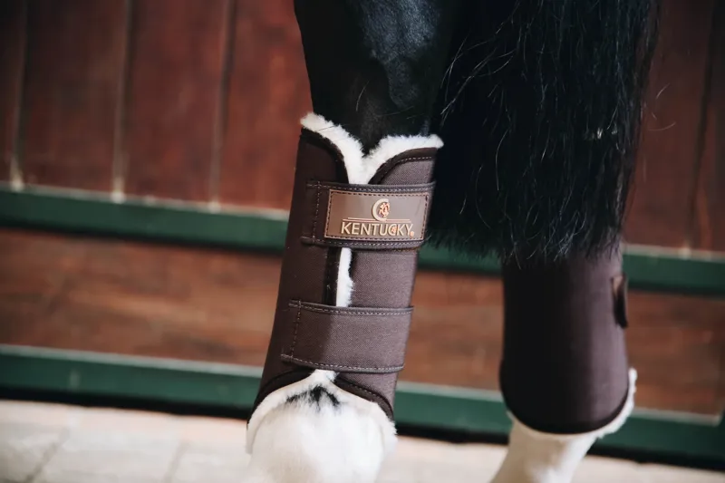 Kentucky Solimbra Turnout Boots-Hind-Brown-Regular-1