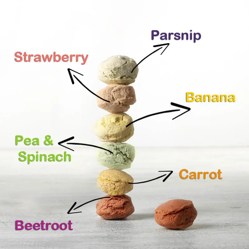 Equilibrium Crunchits-1