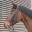 Kieffer Ultrasoft Deluxe Double Bridle Black/Grey Crystal