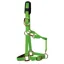 KM Elite Luxury Padded Headcollar and Lead Rope Hot Green