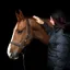 Equilibrium Stellar Leadrope-Brown