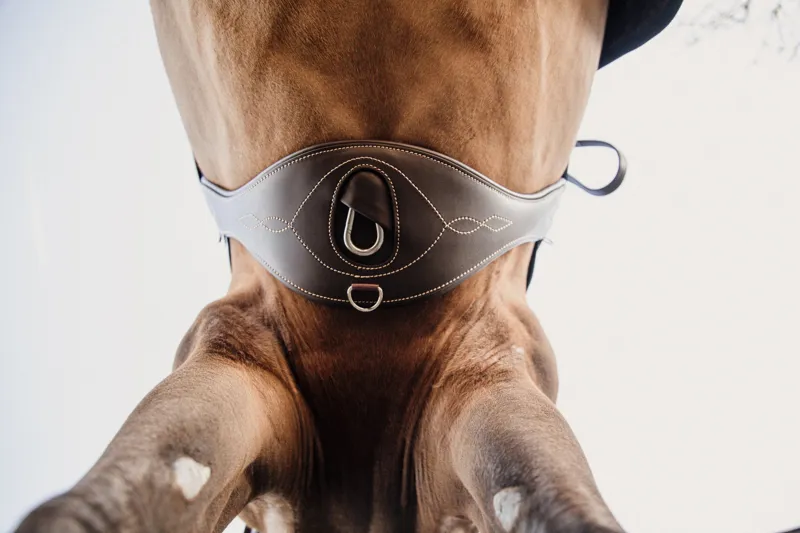 Kentucky Leather Anatomic Girth-Brown-3