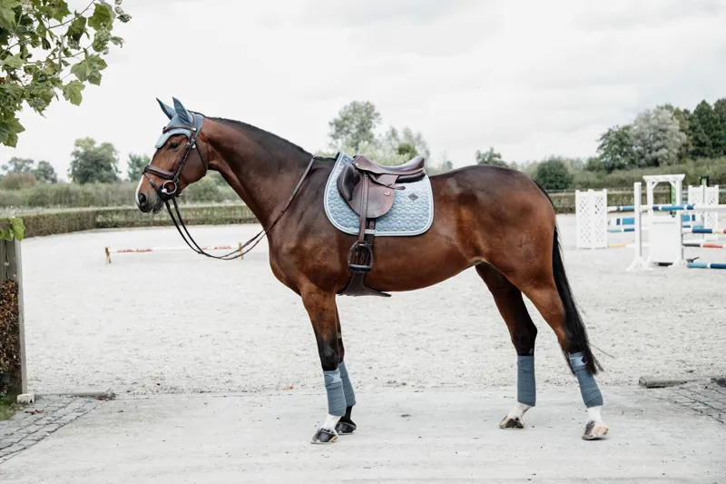 Kentucky Velvet Jumping Saddle Pad-Light Blue-4