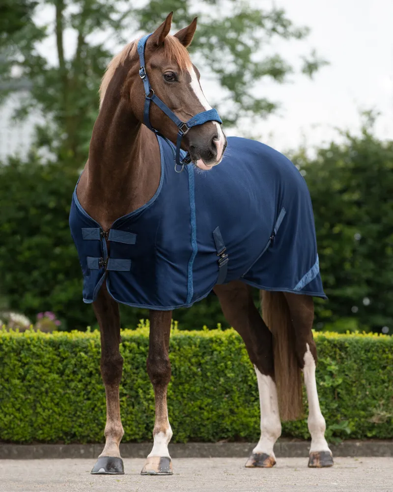 QHP Rug Summer Glow-Navy-1