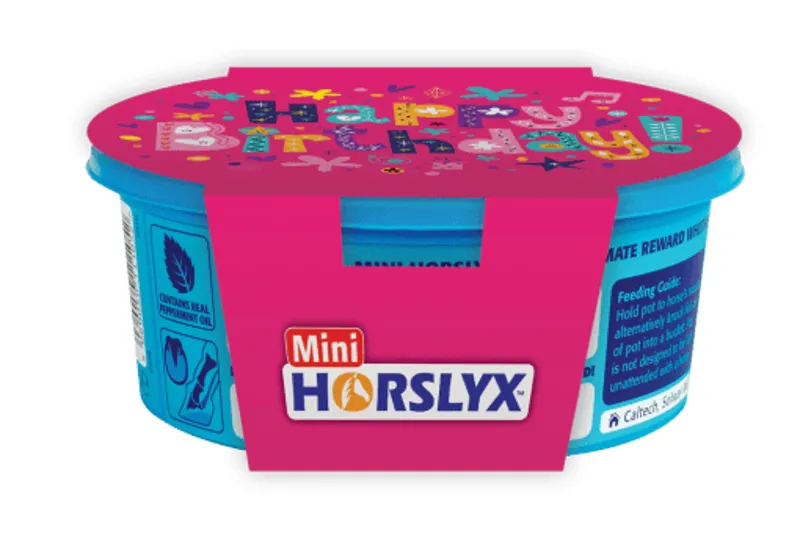 Horslyx Mini Gift Sleeve-Get well soon-1