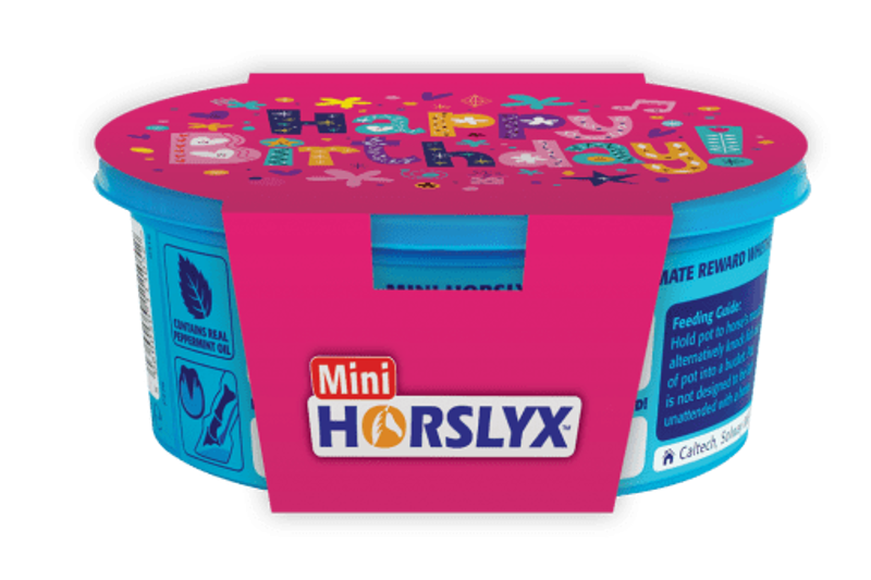 Horslyx Mini Gift Sleeve-Happy Birthday-1