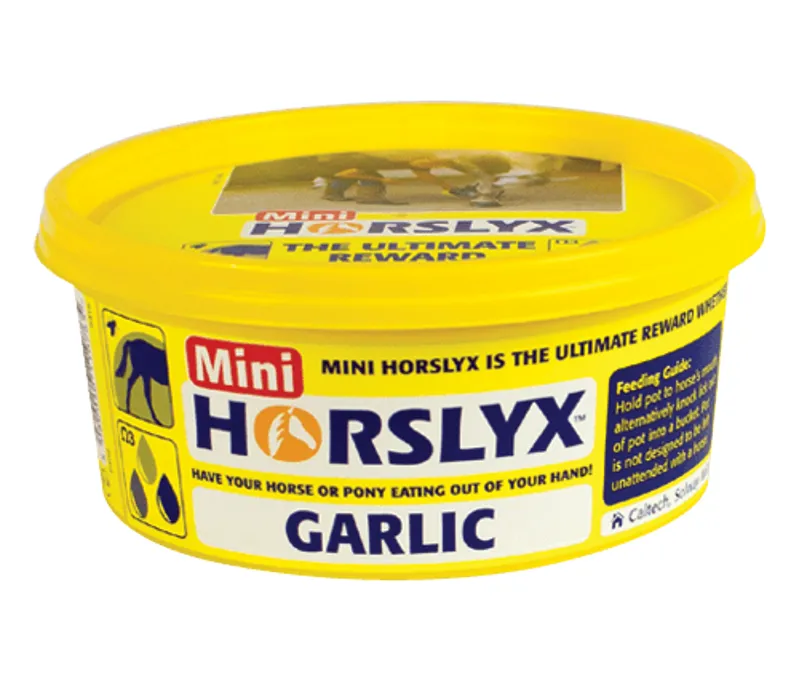 Mini Horslyx 650g-Garlic
