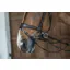 Dy'on Working Motion Bridle-Brown