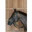 Dy'on Working Motion Bridle-Black
