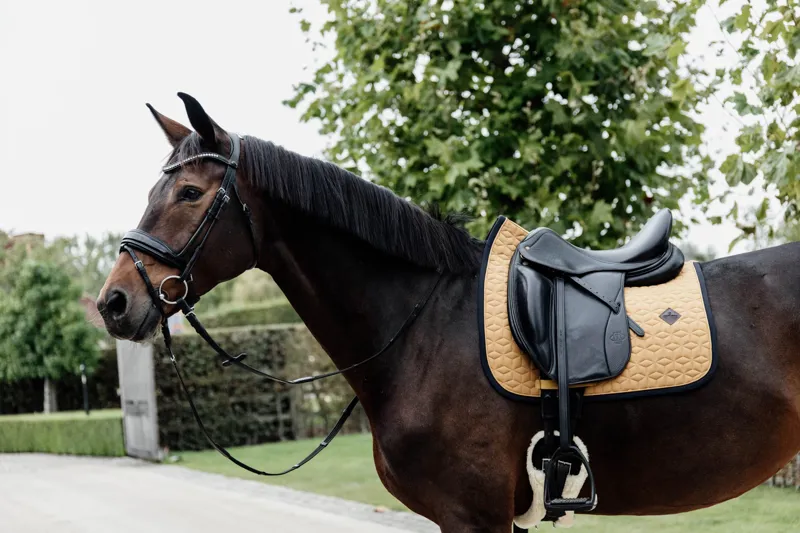 Kentucky Softshell Dressage Saddle Pad-Mustard-1