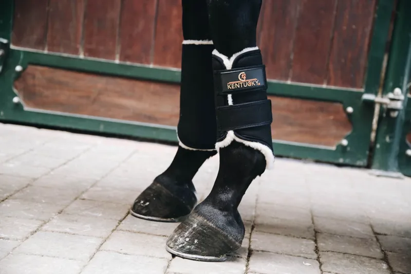 Kentucky Solimbra Turnout Boots-Hind-Black-Regular-2