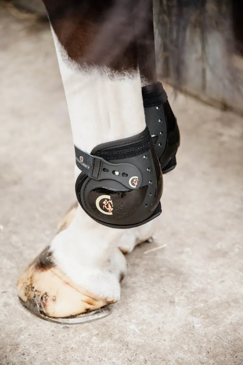 Kentucky Moonboots Elastic Boots-Black-4