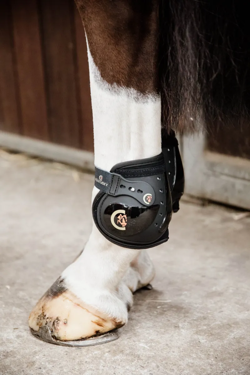 Kentucky Moonboots Elastic Boots-Black-2