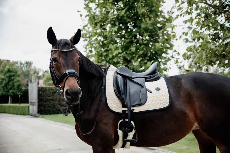 Kentucky Softshell Dressage Saddle Pad-Beige-1