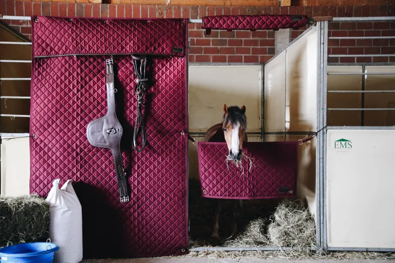 Kentucky Stable Guard-Bordeaux-3