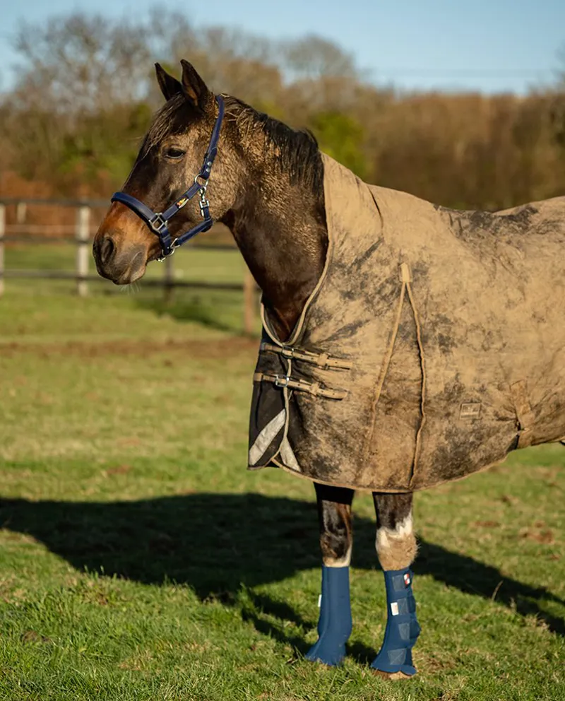 Equilibrium Equi-Chaps Hardy Chaps-5