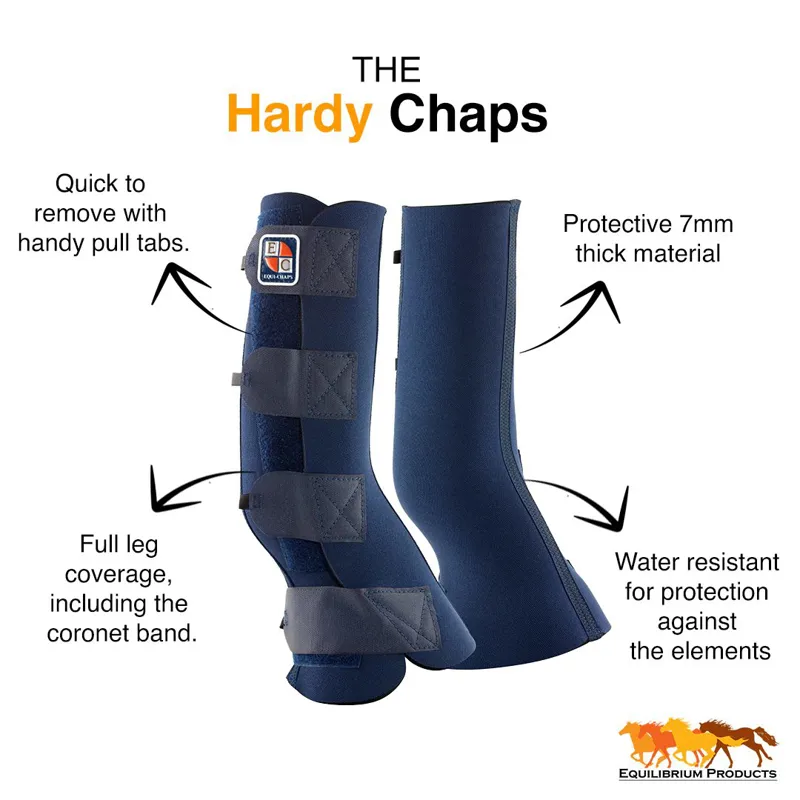 Equilibrium Equi-Chaps Hardy Chaps