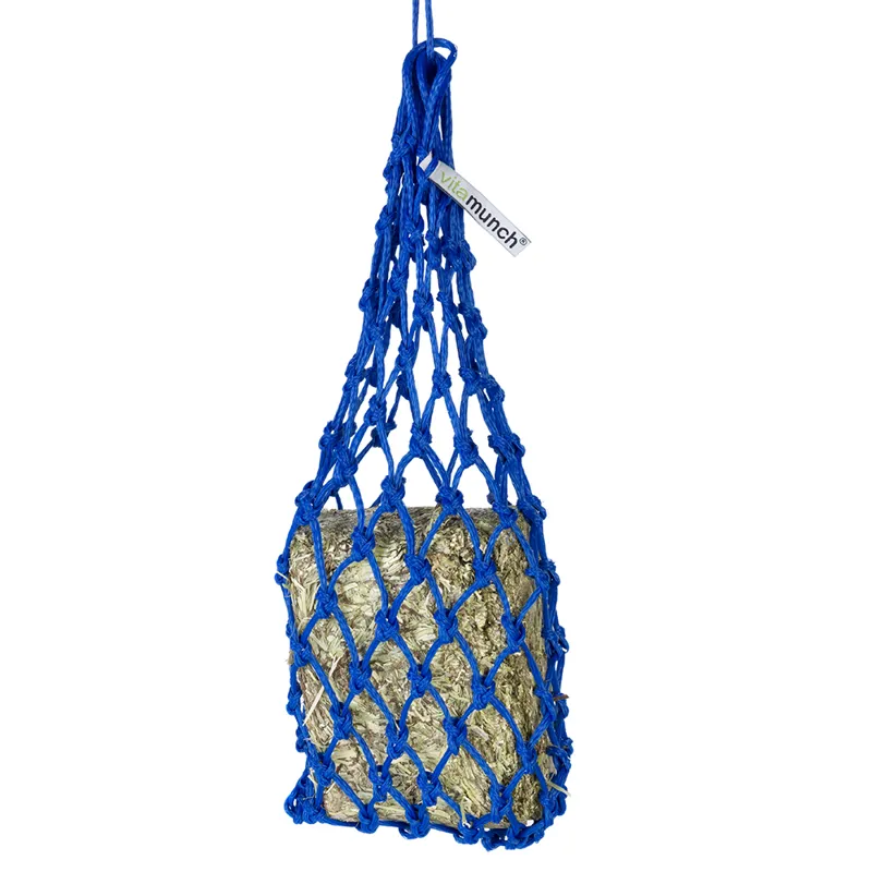 Equilibrium Munch Net-Blue