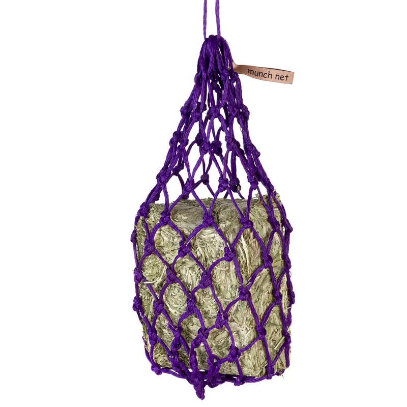 Equilibrium Munch Net-Purple