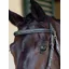 Equiline Anatomic Jumping Flash Bridle With Fancy Stitching-Black