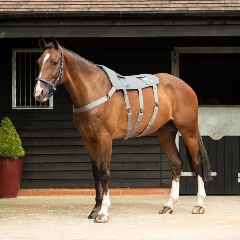 Equilibrium Massage Pad-7