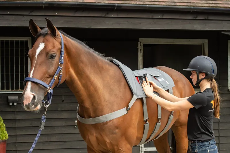 Equilibrium Massage Pad-4