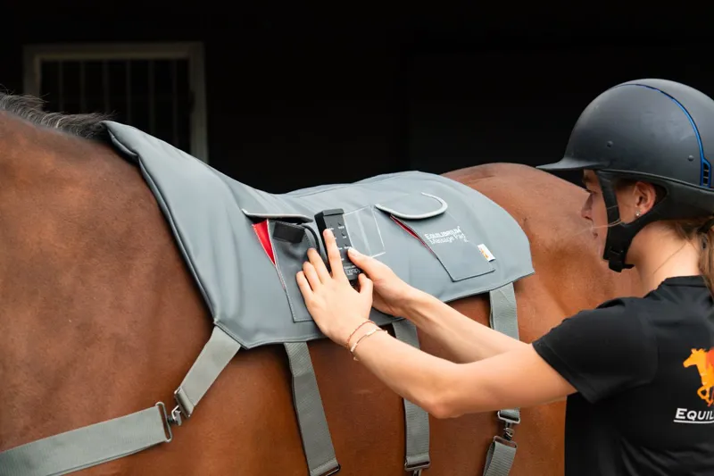 Equilibrium Massage Pad-6