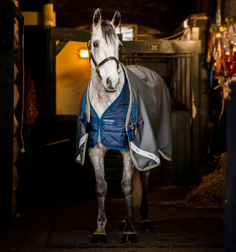 Horseware Amigo Bravo 12 Plus Bundle Turnout-50g Outer with 100g Liner and 200g Liner-Dark Shadow-Navy-Rose-1