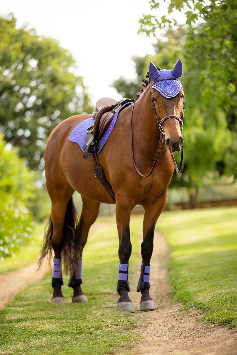 LeMieux SS22 Limited Edition Grafter Brushing Boot Bluebell-5