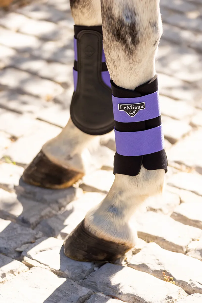 LeMieux SS22 Limited Edition Grafter Brushing Boot Bluebell-6