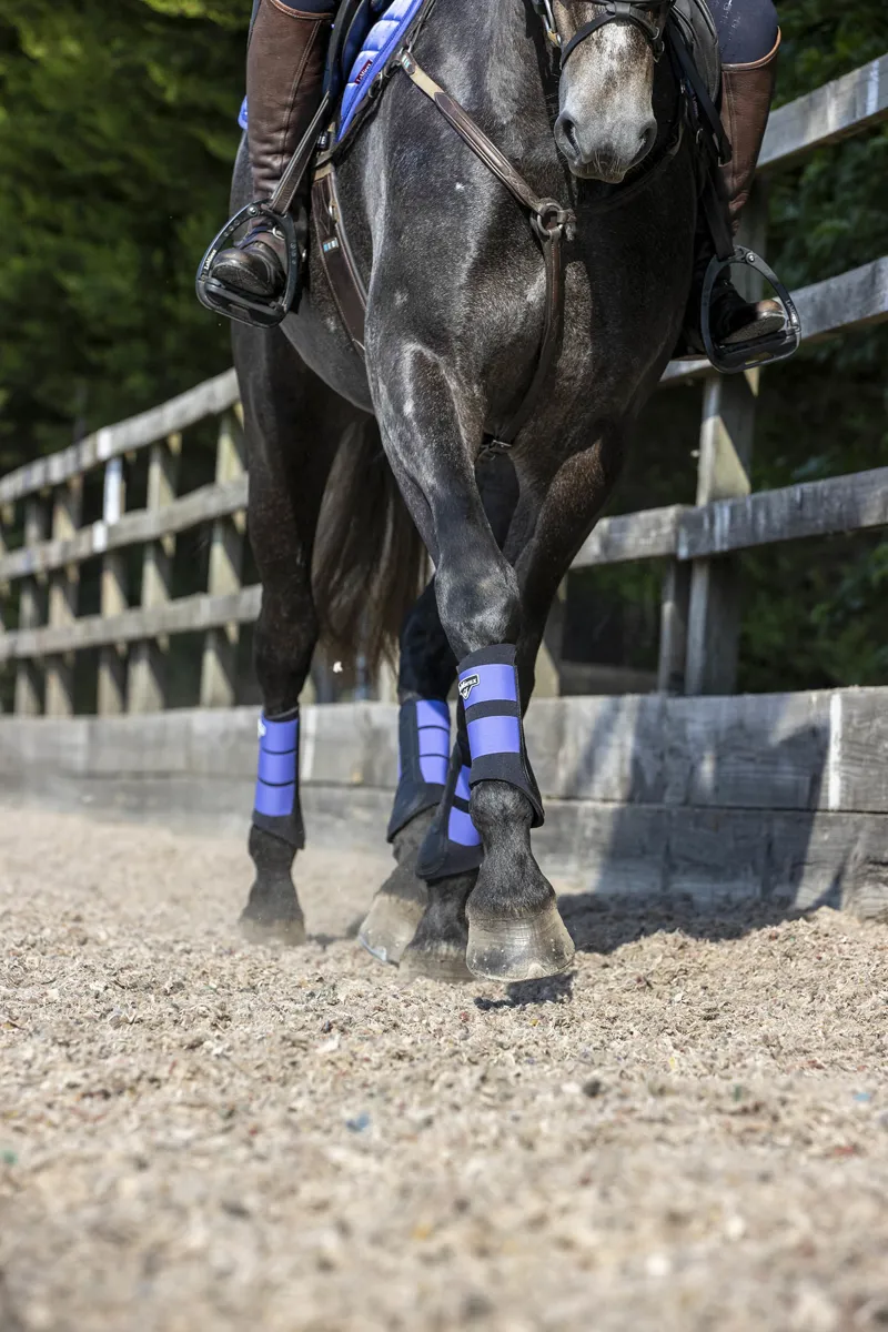 LeMieux SS22 Limited Edition Grafter Brushing Boot Bluebell-4