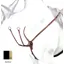 Equipe Emporio Y Shaped Leather Breastplate with Clincher BPE11-Black
