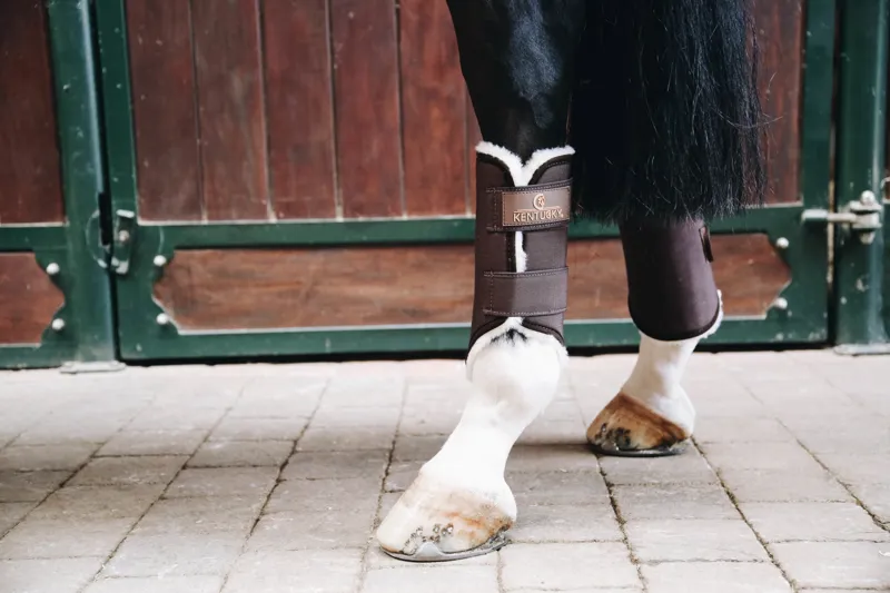 Kentucky Solimbra Turnout Boots-Hind-Brown-Regular-2