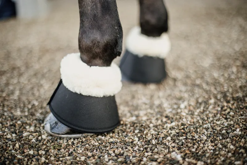  Kentucky Sheepskin Overreach Boots-1