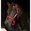 Horseware Field Safe Headcollar-Red