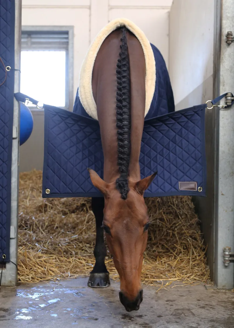 Kentucky Stable Guard-Navy-2