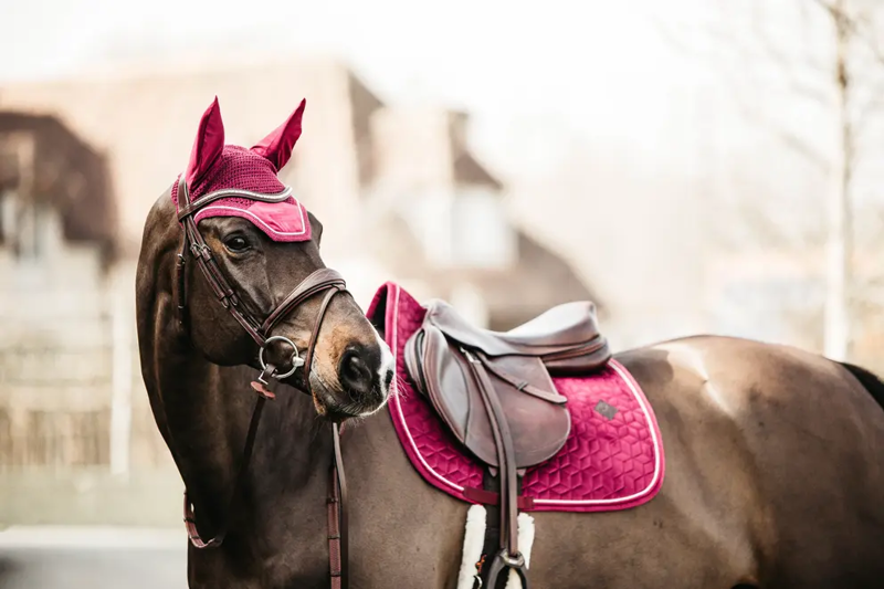 Kentucky Velvet Jumping Saddle Pad-Fuchsia-Full-3