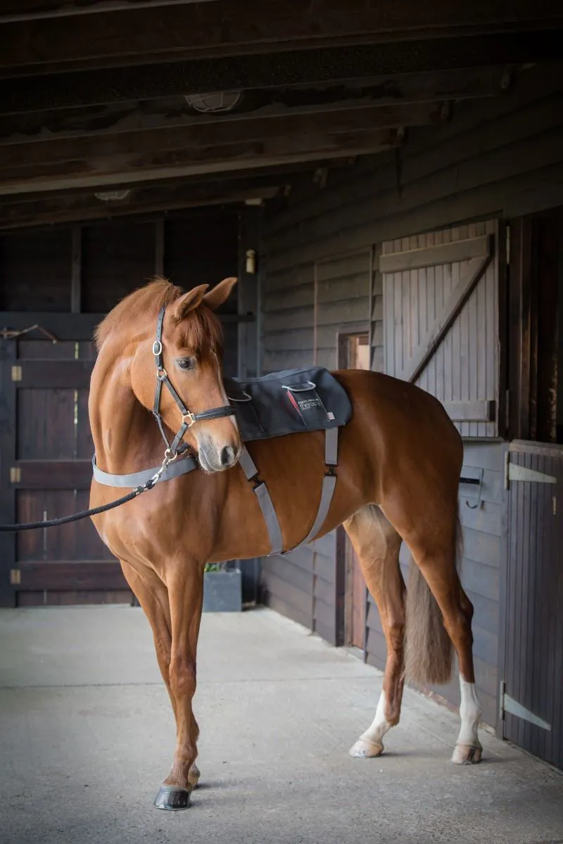 Equilibrium Massage Pad-5