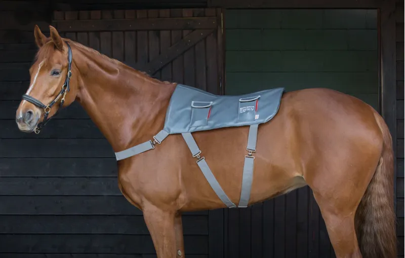 Equilibrium Massage Pad-3