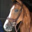 Antares Origin Flash Noseband Snaffle Bridle with Anatomic Headpiece-Brown/Cream Stiching
