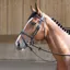 Antares Origin Flash Noseband Snaffle Bridle with Anatomic Headpiece-Black/Black Stitching
