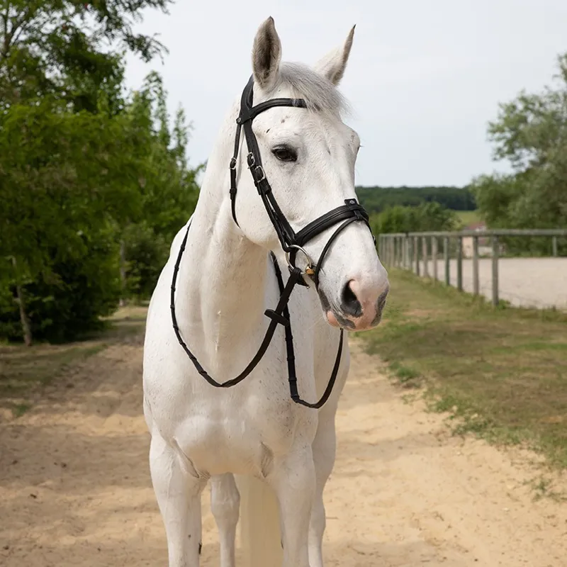 Antares Precision Comfort Noseband Snaffle Bridle-Black/Black Stitching-1