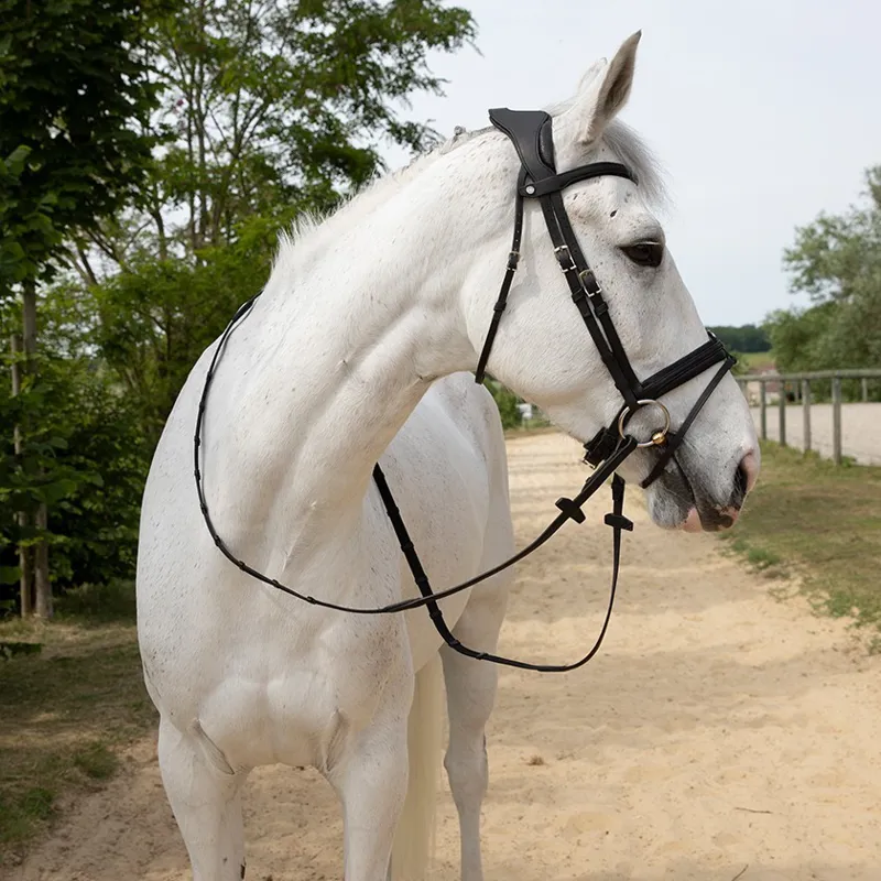 Antares Precision Comfort Noseband Snaffle Bridle-Black/Black Stitching