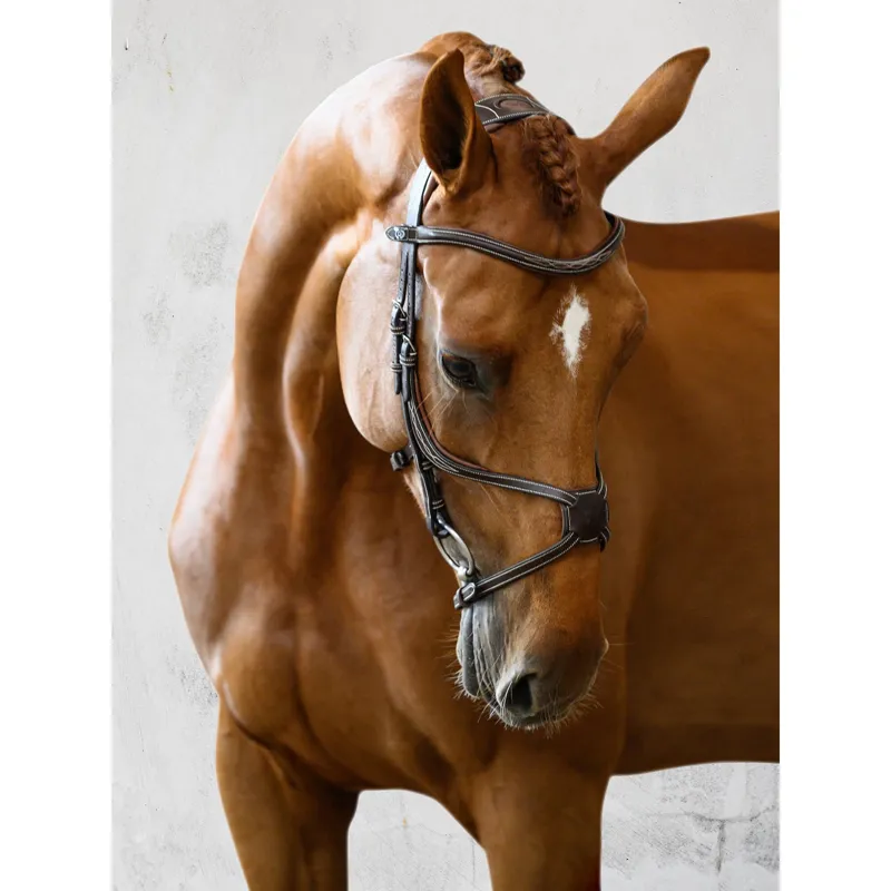 PS of Sweden Athens Bridle-Black-1