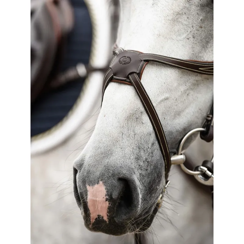 PS of Sweden Athens Bridle-Brown-2