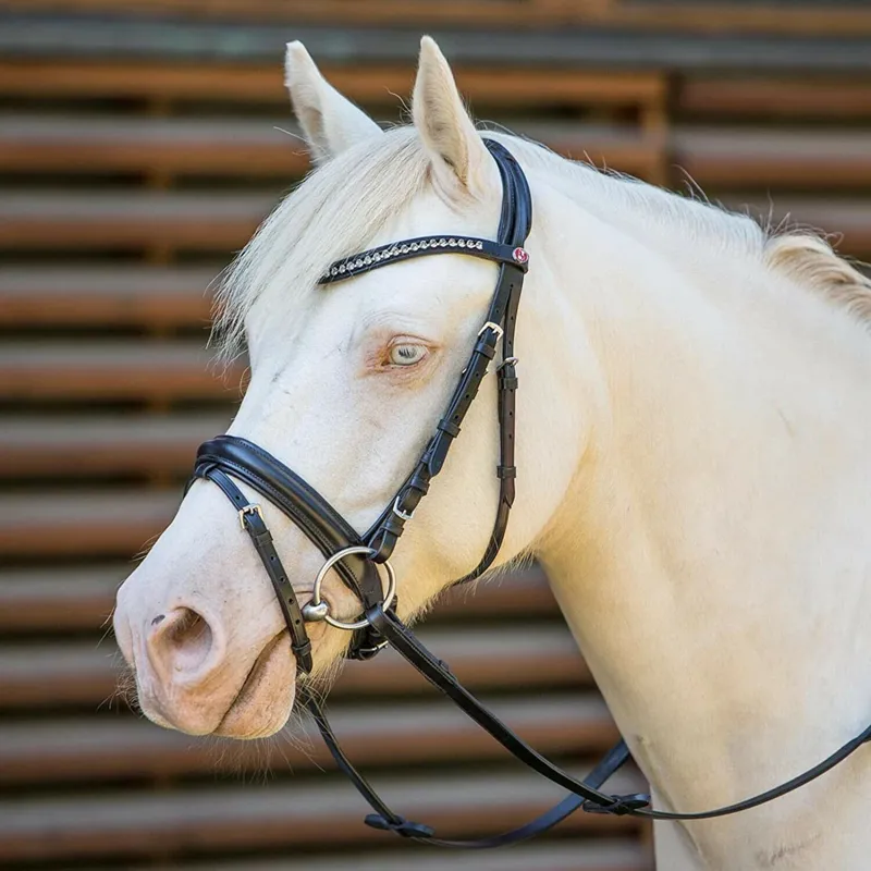 Kieffer Lyon Snaffle Bridle Black/Black